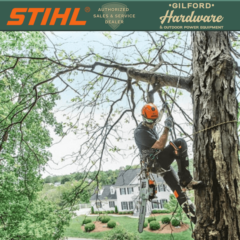 STIHL MS 201 T C-M Tree Chainsaw 14" Bar | Gilford Hardware 