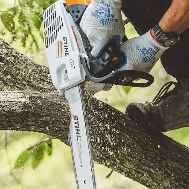 STIHL MS 194 T Top Handle Chainsaw 14" | Gilford Hardware