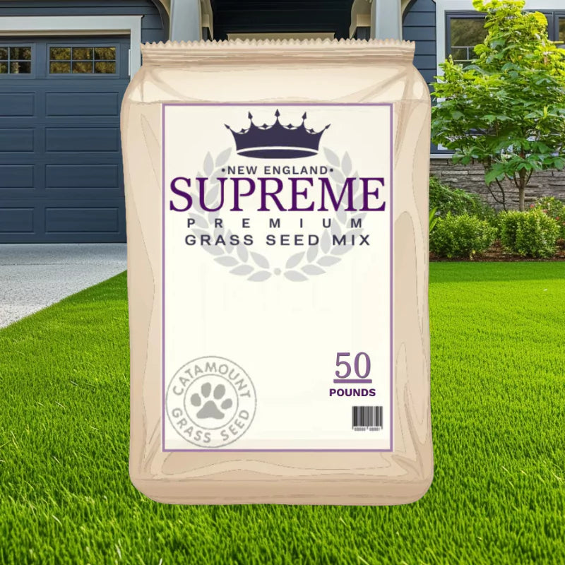 Catamount Supreme Perennial Grass Seed Sun and Shade Mix for New England Lawns