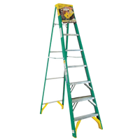 Thumbnail for Werner Fiberglass 8-Foot Step Ladder Type II 225 lb. capacity
