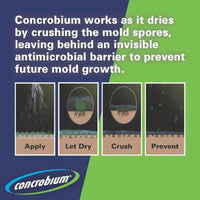 Thumbnail for Concrobium Mold Control 32 oz. | Gilford Hardware 