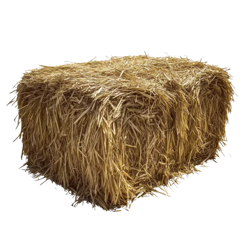 Premium Natural Straw Bale | Gilford Hardware