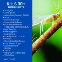 Thumbnail for BioAdvanced Insect Killer Liquid Concentrate 32 oz. | Lawn & Garden | Gilford Hardware & Outdoor Power Equipment