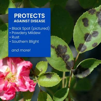 BioAdvanced Rose & Flower Liquid Insect Killer 24 oz. | Lawn & Garden | Gilford Hardware & Outdoor Power Equipment