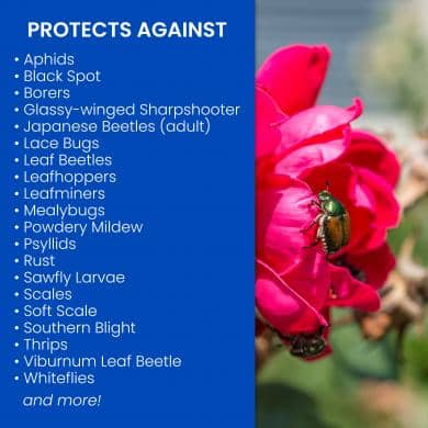 BioAdvanced Rose & Flower Liquid Insect Killer 24 oz. | Lawn & Garden | Gilford Hardware & Outdoor Power Equipment