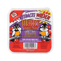Thumbnail for C&S Products Berry Treat Wild Bird Food Berry Suet 11.75 oz. | Bird Food | Gilford Hardware