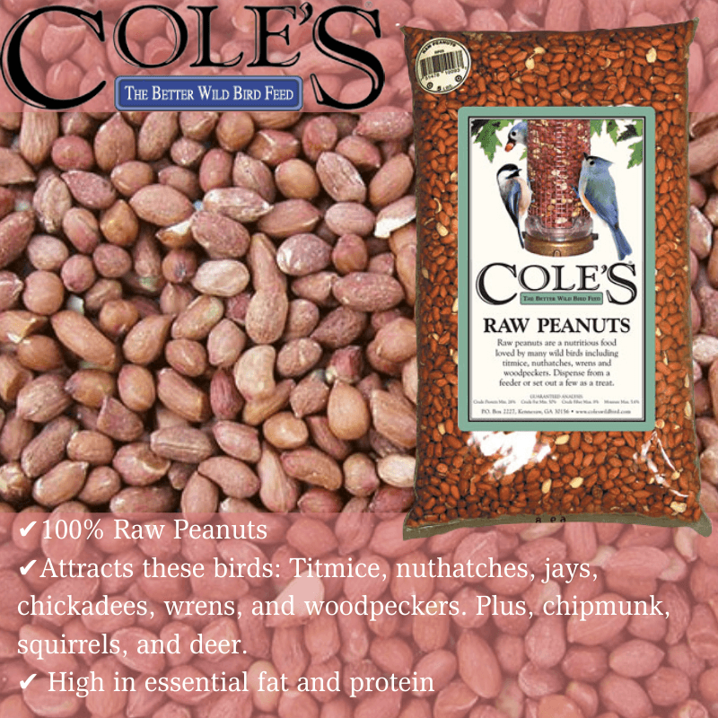 Cole's Wild Bird Food Raw Peanuts 5 lb. | Gilford Hardware 