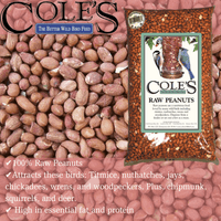 Thumbnail for Cole's Wild Bird Food Raw Peanuts 5 lb. | Gilford Hardware 