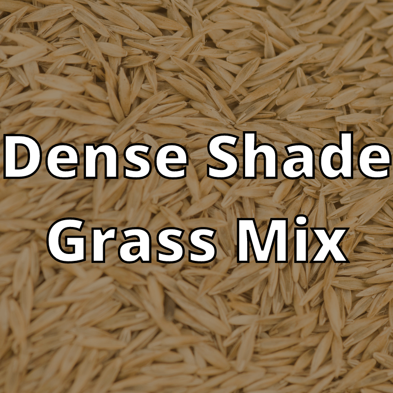 Green Thumb Dense Shade Grass Seed Mix 25 lb. | Gilford Hardware 