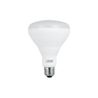 Thumbnail for Feit Electric BR30 E26 (Medium) LED Bulb Soft White 65 Watt Equivalence | LED Light Bulbs | Gilford Hardware
