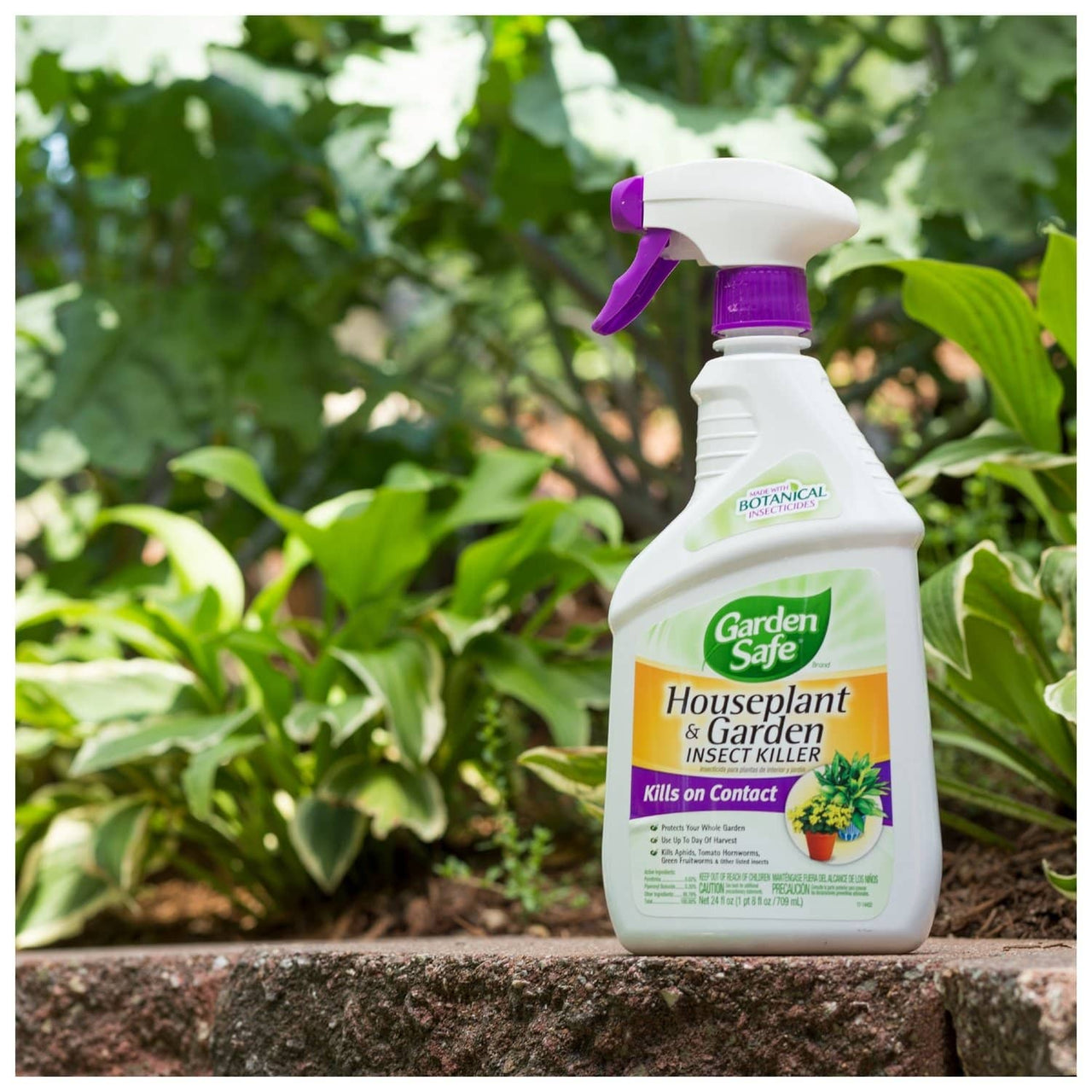 Garden Safe Liquid Insect Killer 24 oz. | Gilford Hardware