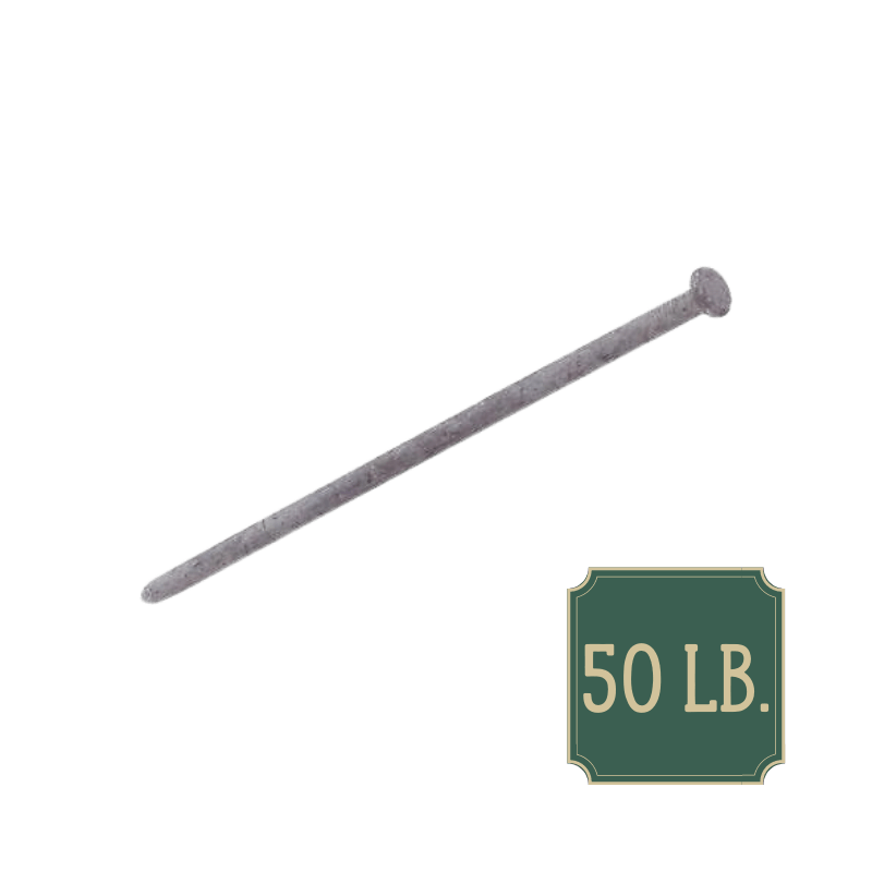 Grip-Rite Steel Nail Spike Hot-Dipped Galvanized Flat 10 in. 50 lb. | Gilford Hardware 