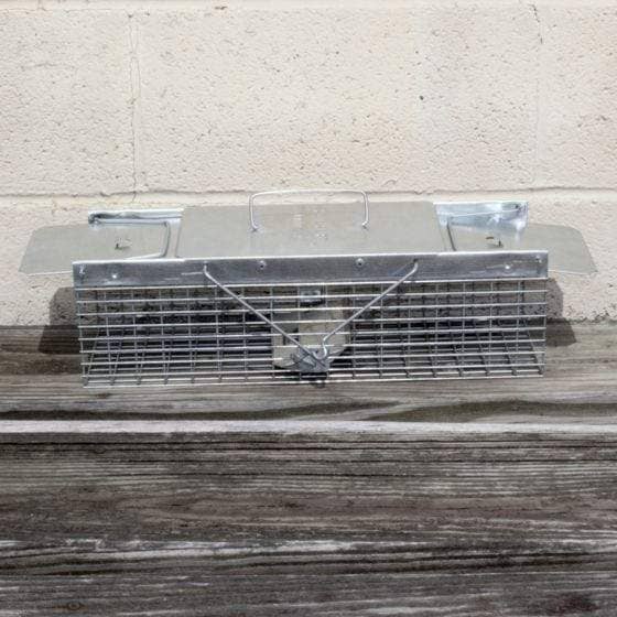 Havahart Live Catch Cage Trap For Mice | Gilford Hardware 