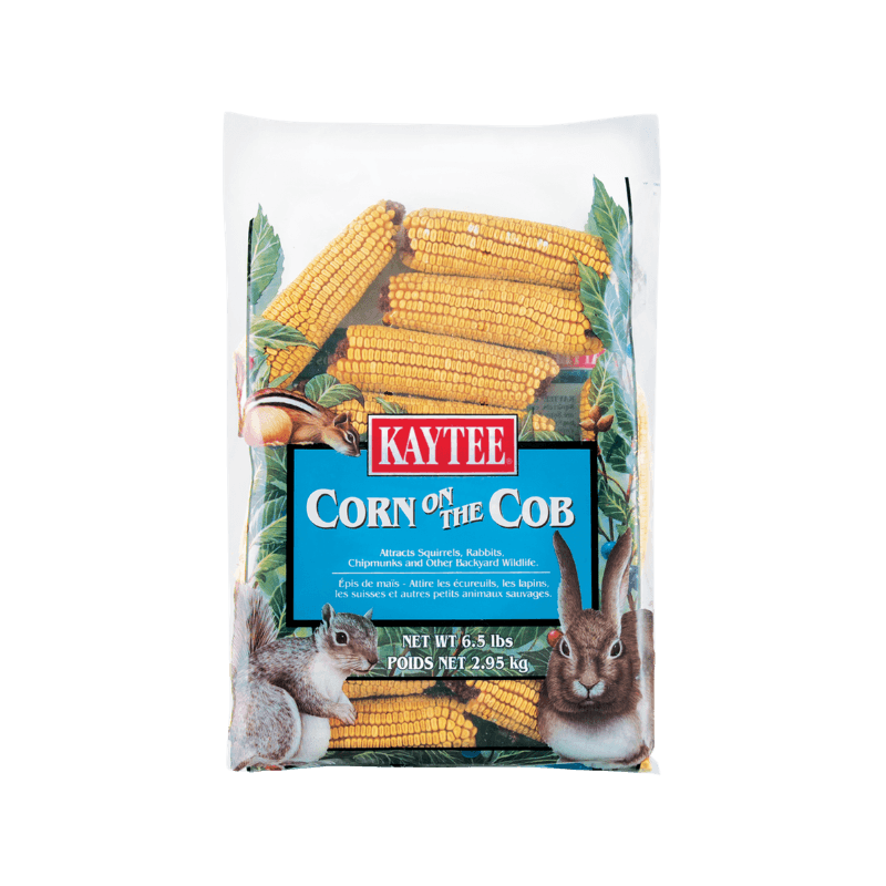 Kaytee Corn on the Cob Assorted Species Squirrel and Critter Food Corn 6.5 lb. | Gilford Hardware 