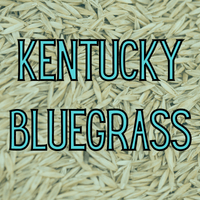 Thumbnail for Green Thumb Kentucky Bluegrass Seed Mix 7 lb. | Gilford Hardware 