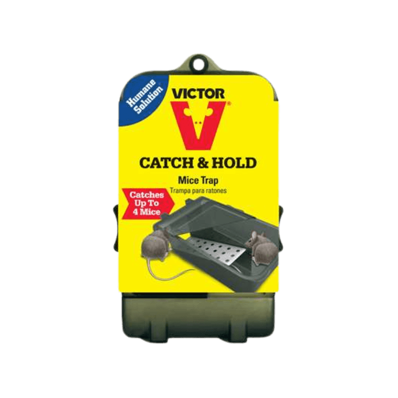 Victor Multiple Catch Mouse Trap | Gilford Hardware