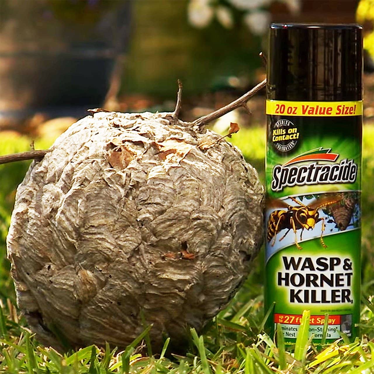 Spectracide Wasp and Hornet Killer Spray 20 oz. | Gilford Hardware