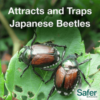 Thumbnail for Safer Japanese Beetle Trap | Insect Trap | Gilford Hardware & Outdoor Power Equipment