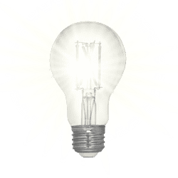 Feit Electric Enhance Filament LED Bulb Daylight 60 Watt 2-Pack. | LED Light Bulbs | Gilford Hardware & Outdoor Power Equipment