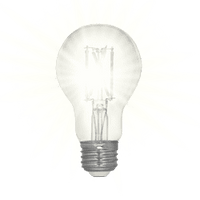 Thumbnail for Feit Electric Enhance Filament LED Bulb Daylight 60 Watt 2-Pack. | LED Light Bulbs | Gilford Hardware & Outdoor Power Equipment