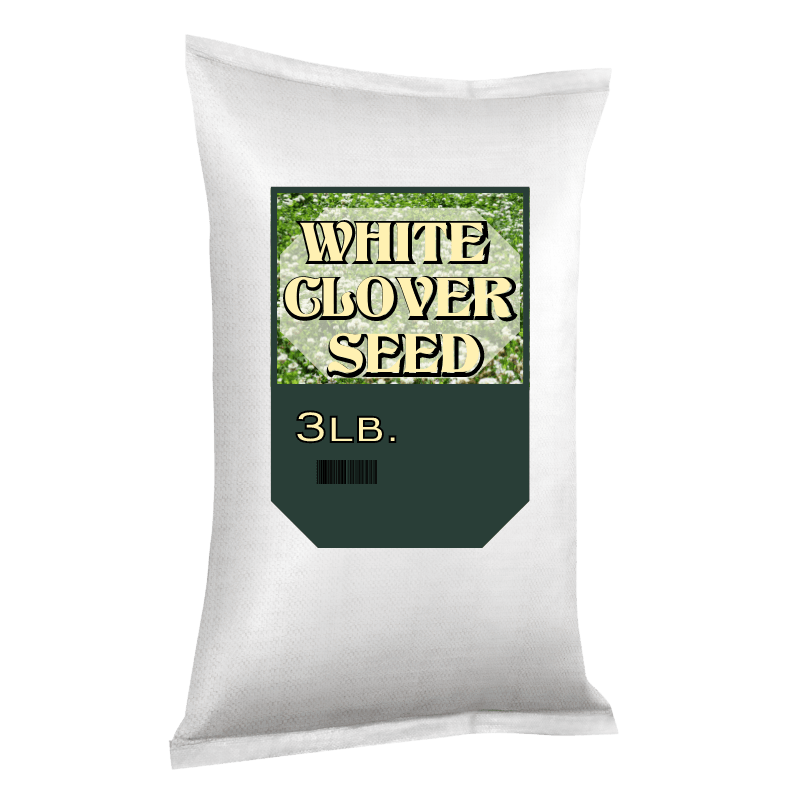 White Clover Seed 3 lbs. | At Gilford Hardware