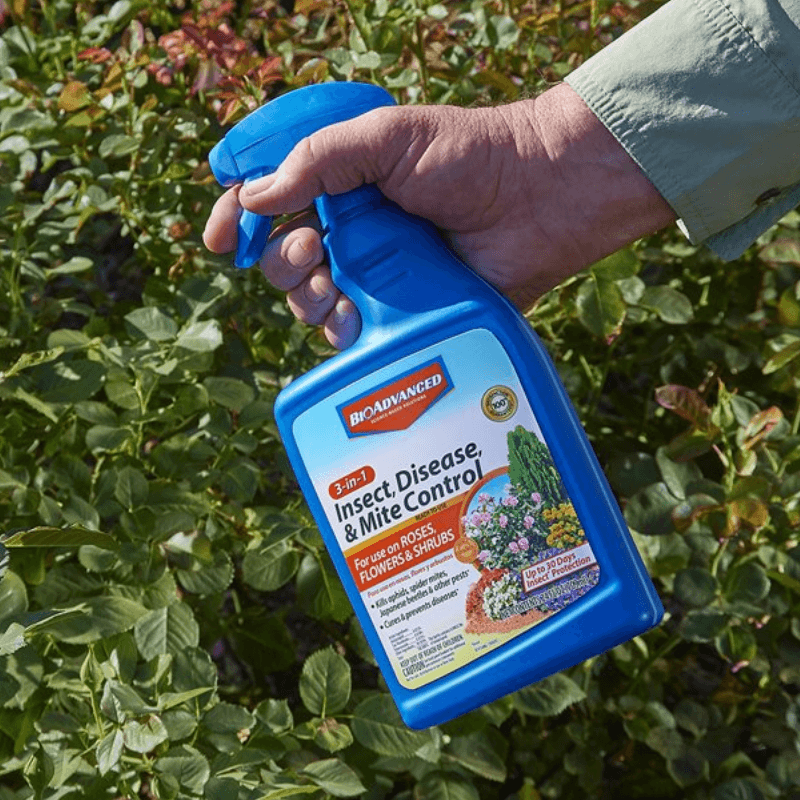 BioAdvanced 3-in-1 Insect, Disease & Mite Control Spray 24 oz. | Gilford Hardware