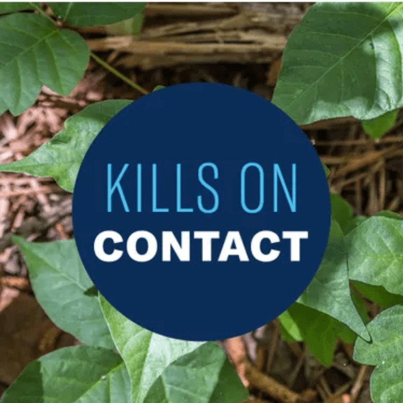 BioAdvanced Brush Killer RTS Concentrate 32 oz. | Herbicides | Gilford Hardware