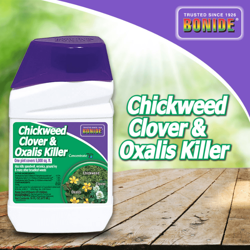 Bonide Chickweed Clover & Oxalis Killer Concentrate 16 oz. | Gilford Hardware