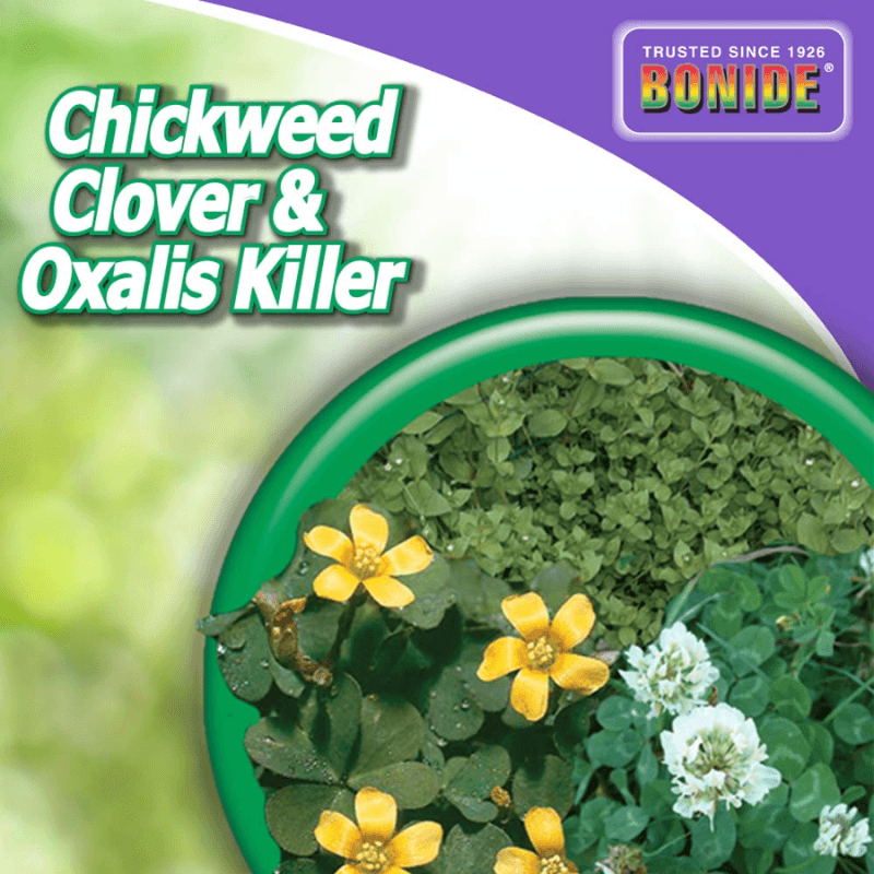 Bonide Chickweed Clover & Oxalis Killer Concentrate 16 oz. | Gilford Hardware