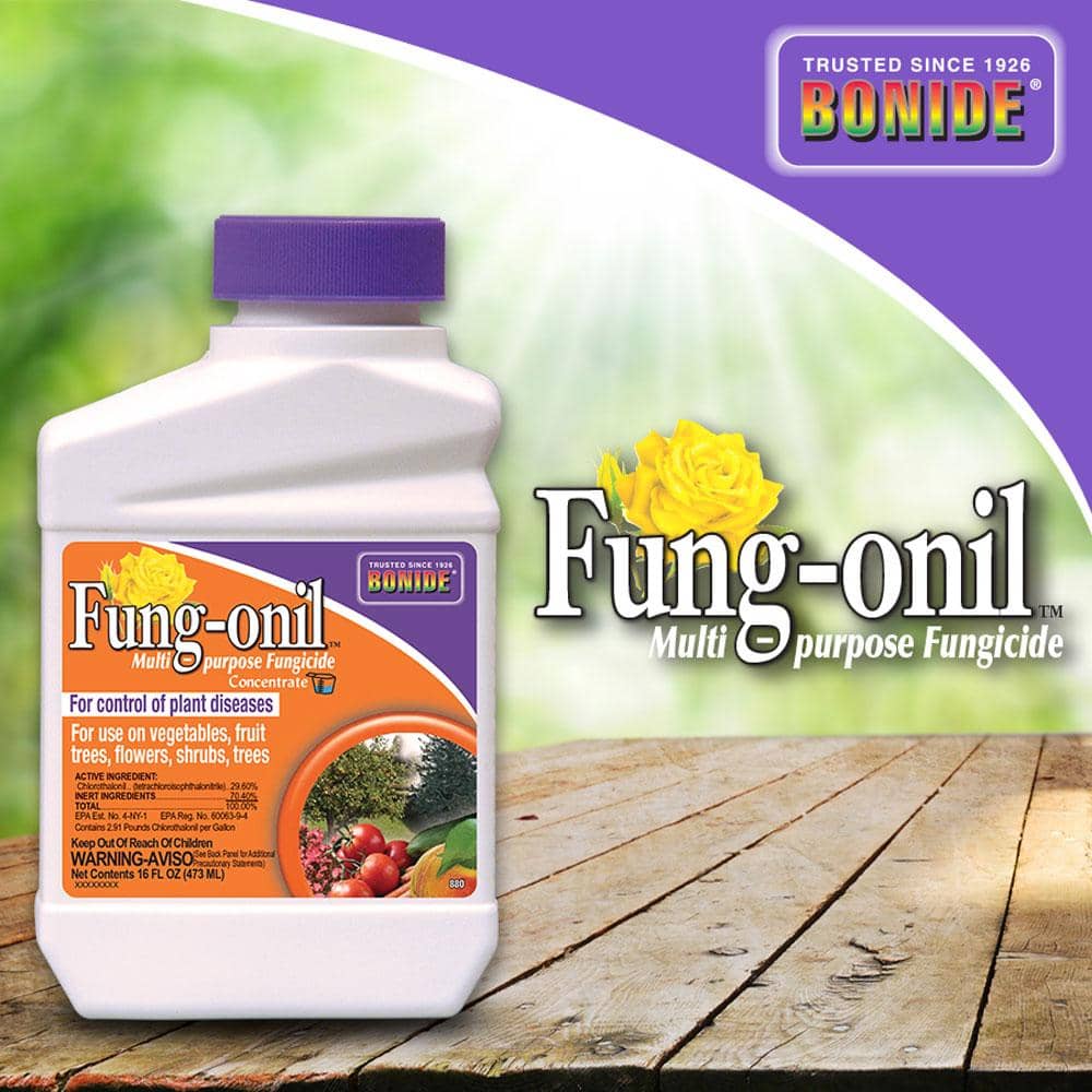Bonide Fung-onil Concentrated Liquid Disease Control 16 oz. | Gardening | Gilford Hardware & Outdoor Power Equipment