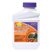 Thumbnail for Bonide Fung-onil Concentrated Liquid Disease Control 16 oz. | Gilford Hardware