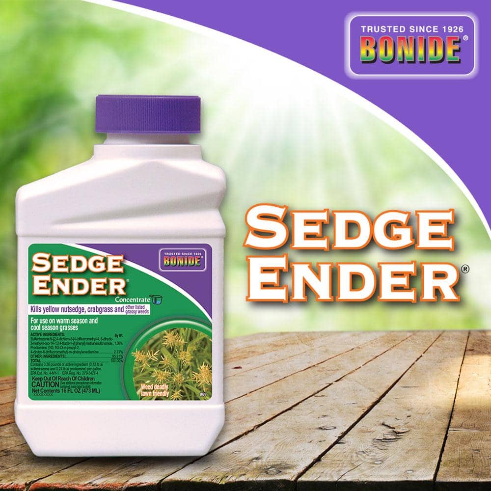 Bonide Sedge Ender Nutsedge Killer Concentrate 16 oz. | Gilford Hardware 
