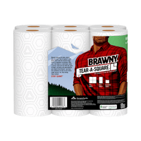 Thumbnail for Brawny Paper Towels 2-Ply 6-Pack. | Gilford Hardware