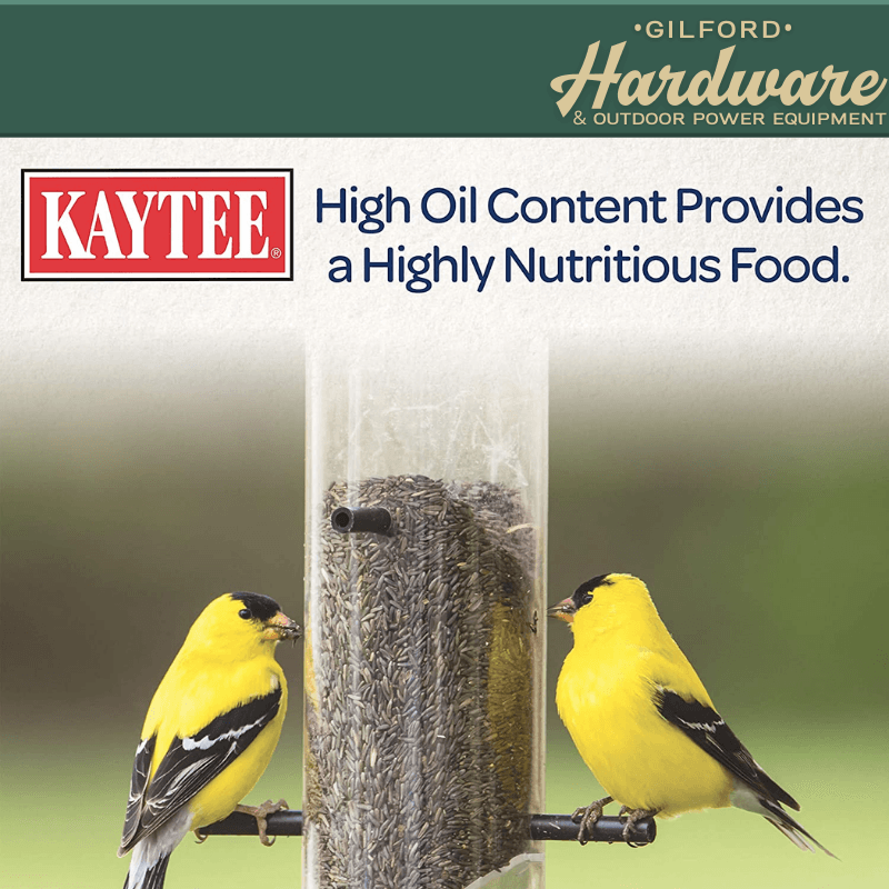 Kaytee Nyjer Songbird Wild Bird Food Thistle Seed 8 lb. | Bird Food | Gilford Hardware & Outdoor Power Equipment