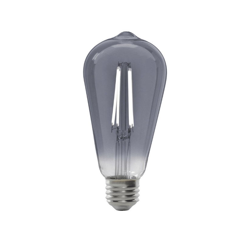 Feit Electric ST19 E26 (Medium) LED Bulb Smoke Daylight 25 Watt Equivalence | Gilford Hardware