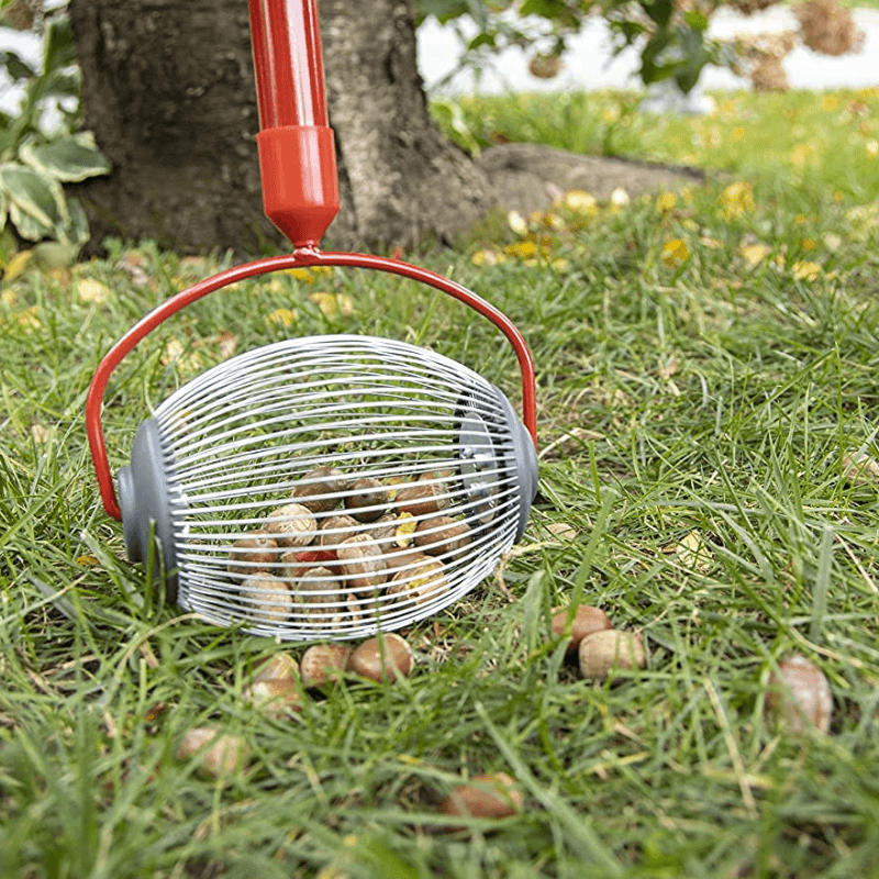 Garden Weasel Nut Gatherer Small | Gardening Tools | Gilford Hardware