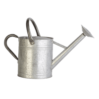 Thumbnail for Panacea Watering Can Galvanized 1 Gallon | Gilford Hardware