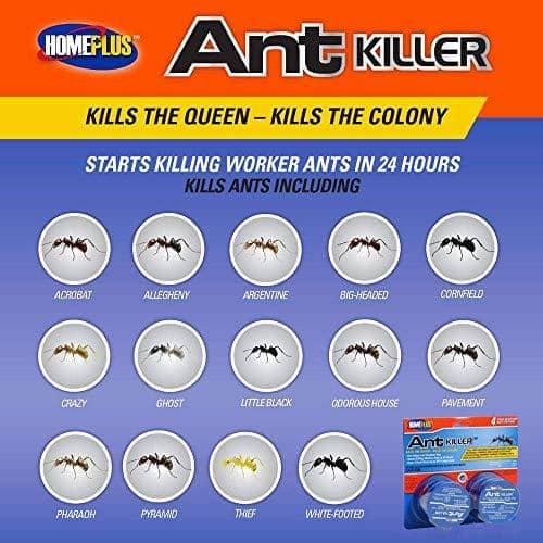 Homeplus Ant Killer Ant Bait 0.11 oz. | Gilford Hardware