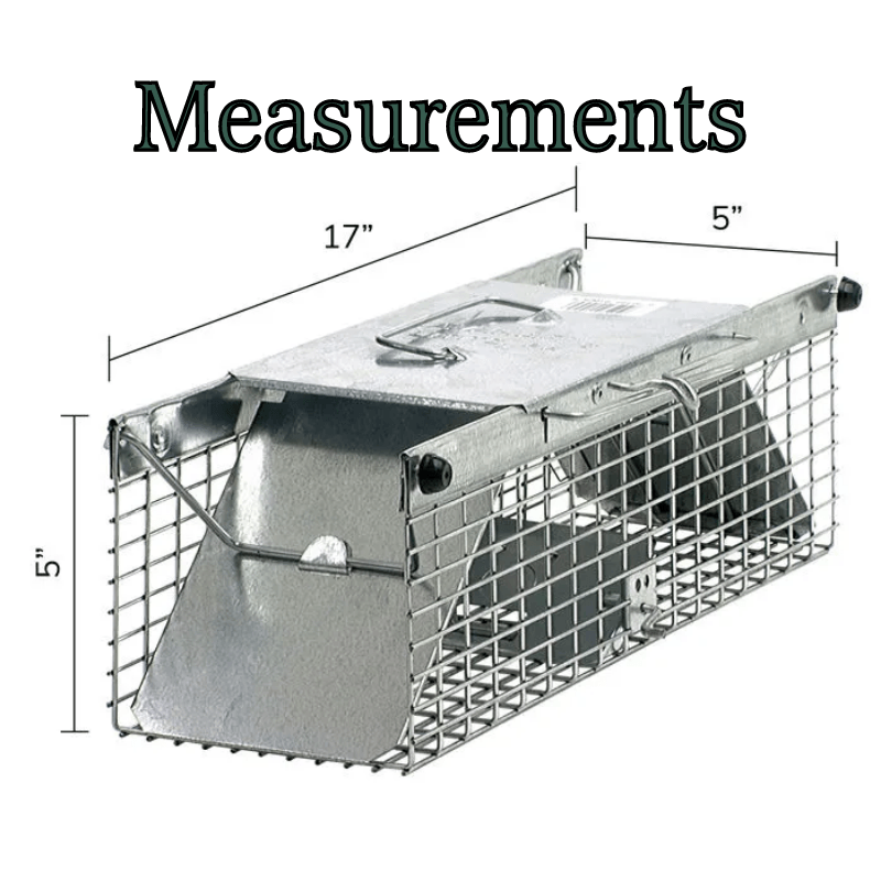 https://gilfordhardware.com/cdn/shop/products/in-the-wild-havahart-live-catch-cage-trap-for-mice-gilford-hardware_1_1280x.png?v=1658877211