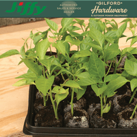 Thumbnail for Jiffy Tomato & Vegetable Seed Starting Greenhouse | Pots & Planters | Gilford Hardware & Outdoor Power Equipment