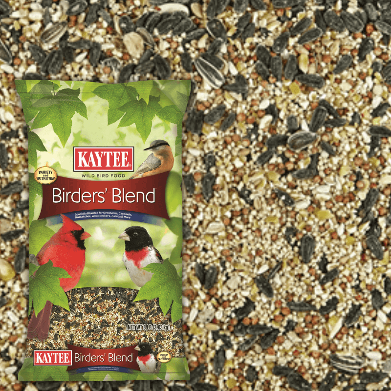 Kaytee Birders Blend Black Oil Wild Bird Food 8 lb. | Gilford Hardware