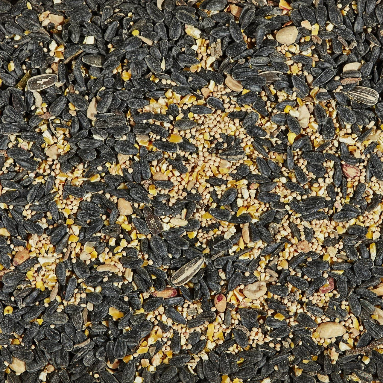 Kaytee Wild Bird Black Oil Sunflower Seed 14 lb. | Bird Seed | Gilford Hardware & Outdoor Power Equipment