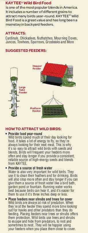 Kaytee Basic Blend Wild Bird Food 5 lb. | Bird Food | Gilford Hardware & Outdoor Power Equipment