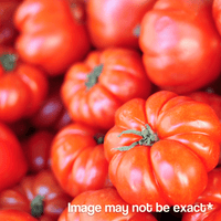 Thumbnail for King Farm Beefsteak Tomato Starter 6-Pack. |  | Gilford Hardware & Outdoor Power Equipment