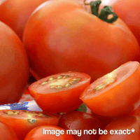 Thumbnail for King Farm Celebrity Tomato Starter 6-Pack. |  | Gilford Hardware & Outdoor Power Equipment