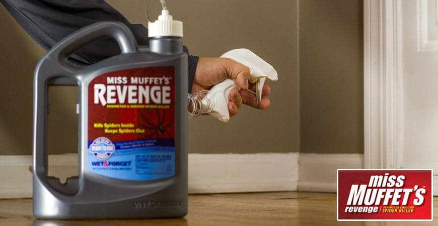 Wet & Forget Miss Muffet's Revenge Liquid Spider Killer 64 oz. | Gilford Hardware