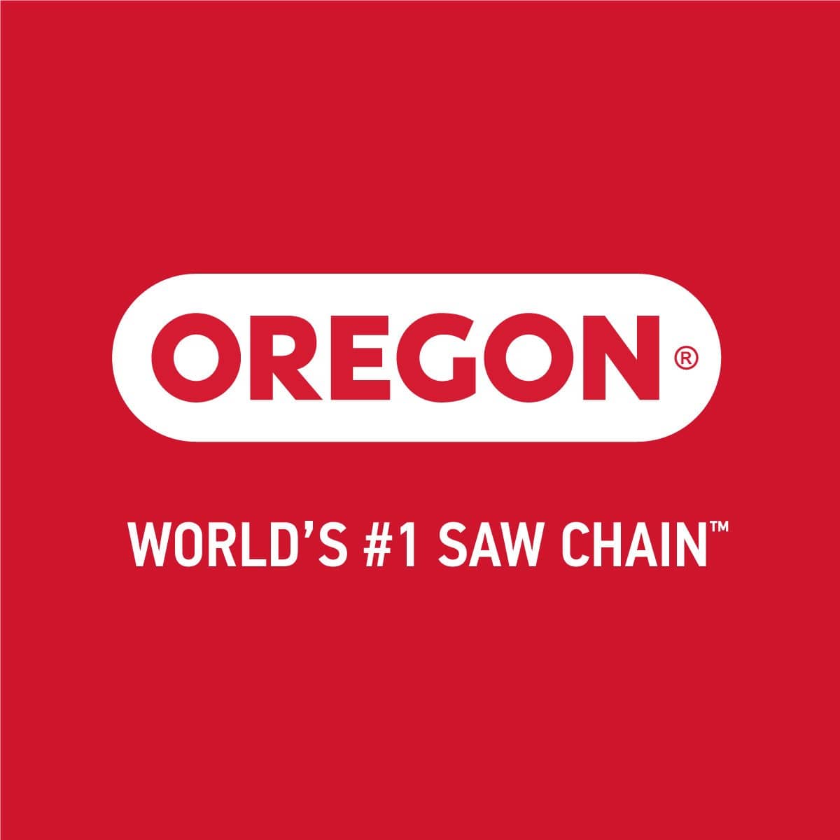 Oregon Sure Sharp Chainsaw Chain File 3/16 in. 2-Pack. | Gilford Hardware 