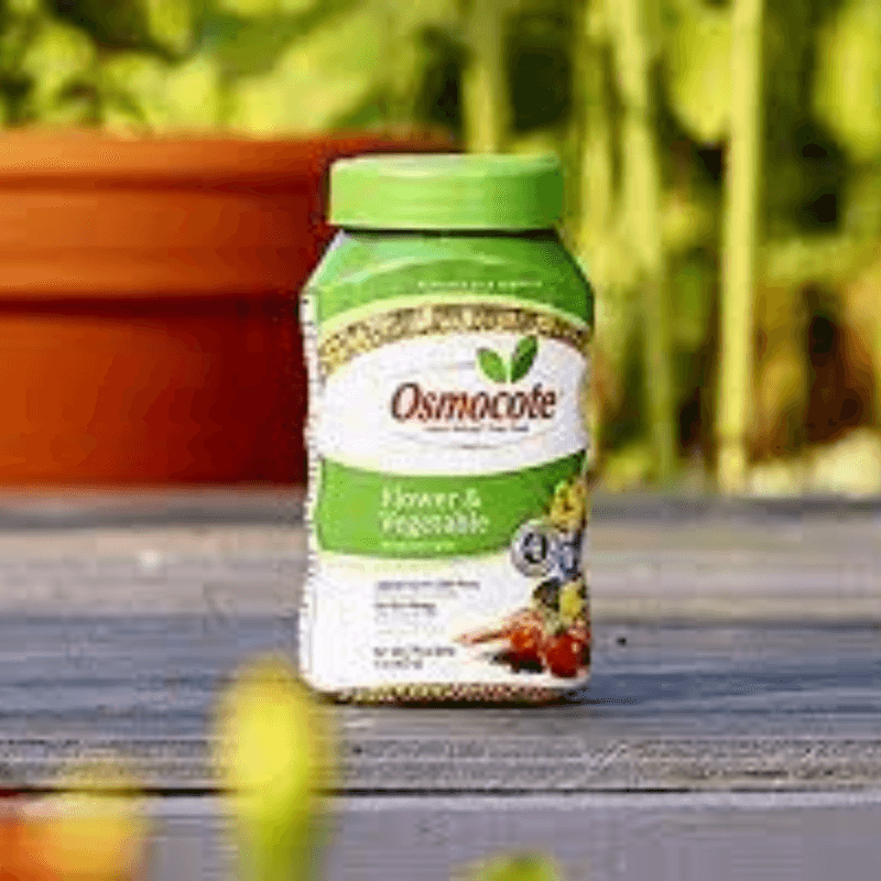 Osmocote Granules Plant Food 1 lb. | Gilford Hardware