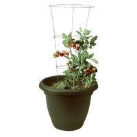 Thumbnail for Panacea Steel Tomato Cage 33 in. H x 12 W  | Gilford Hardware 