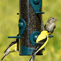 Thumbnail for Perky-Pet Wild Bird and Finch Feeder 1.8 lb. | Bird Feeders | Gilford Hardware & Outdoor Power Equipment
